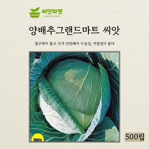 아시아종묘 그랜드마트 양배추 씨앗 500립, 1개, 상세페이지 참조, 상세페이지 참조