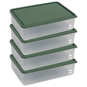 비트리 시즌2 휘어지는 냉동실 정리용기 2.3L 그린, 1개입, 4개