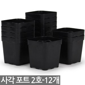 사각 포트 2호 12개 - 모종판 연결포트 모종 다육포트 트레이 재배 씨앗 연결포트 묘목 모판 화분 다육이, 06_세인_사각포트(3호) x 10개