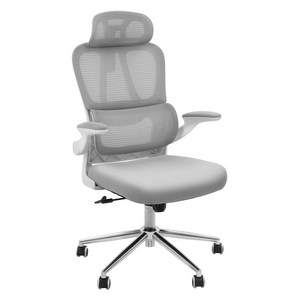 FlexiSpot 사무용의자 OC6 편안한 천연 스펀지 최저높이 40.5cm 최대하중122KG 금속프레임 요추보호 컴퓨터의자