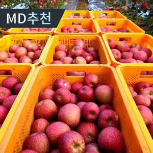 [달농]햇 사과 부사사과 경북 가정용 흠집 꿀사과 2kg 한입과(15... 1개, 2kg 한입과(15-16과내외)