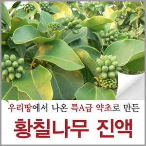 신토불이약초 제주산 황칠나무 즙 진액 액기스 원액 90ml 60포, 5.4L, 1개