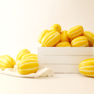 첫출하 성주참외 꿀 참외 산지직송 고당도 선별 농장수확 특품 실속형 혼합과 제철과일 직배송, 참외 3kg 중과 실속형, 1개