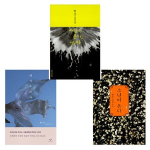 [노벨문학상+한강] 채식주의자 + 소년이 온다 + 바람이 분다 가라 세트(전3권), 창비