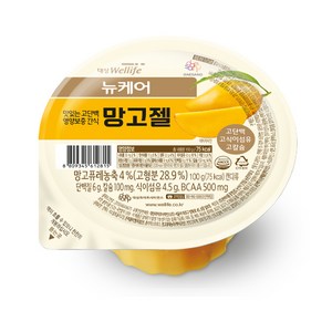 뉴케어 영양간식 망고젤 100g, 30개