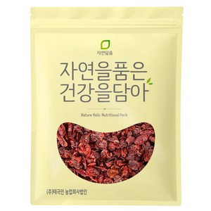 자연닮음 국산 말린 건 산수유 열매 300g