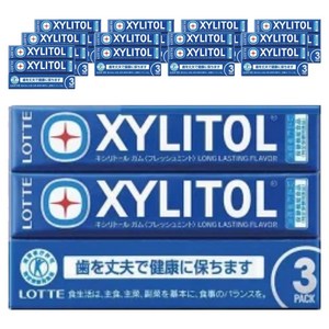 롯데자일리톨 껌 프레시 민트 14개입 3팩, 63g, 10개