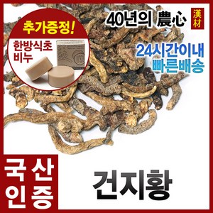 자애인 국산 건지황 300g 지황 건조 지황뿌리 경북안동, 1개