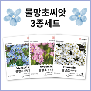 [주주씨앗] 물망초씨앗 100립 3봉세트 화이트 핑크 블루 분홍색 하얀색 파란색 하늘색 꽃씨앗 종자 씨 물망초씨, 3개
