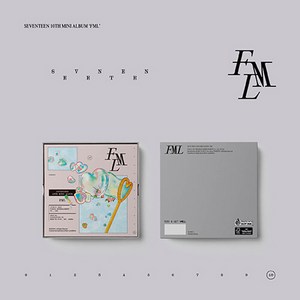 세븐틴 - SEVENTEEN 10th Mini Album 'FML' (CARAT Ver.), 도겸