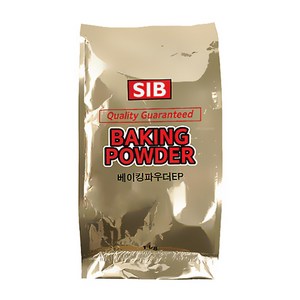 웰베이킹 선인 베이킹파우더 (무취), 1개, 1kg