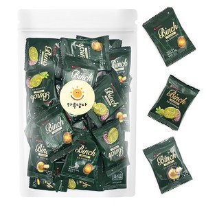 롯데 빈츠 프리미어 말차 비스켓 녹차초콜릿 대용량 30개