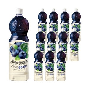 자연은 블루베리 주스, 1.5L, 12개