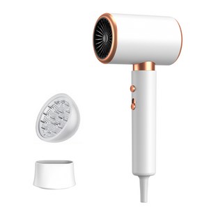 호밍사이 초고출력 빠른 건조 음이온 헤어드라이어 2000W