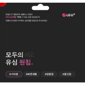 골든싸이]LGU+공용유심(원칩)1개, 1개