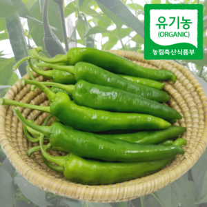 유기농 친황경 청양고추 산지직송, 1개, 1kg