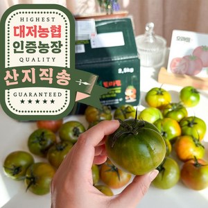 오라밀농장 단짠단짠 대저 토마토 산지직송, 1박스, 2.5kg(MM)