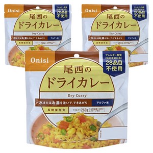 오니시식품 드라이 카레, 100g, 3개