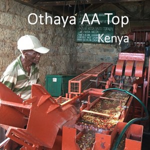 [위트러스트] 케냐 오타야 AA Top 500g Kenya Othaya, 홀빈, 1개