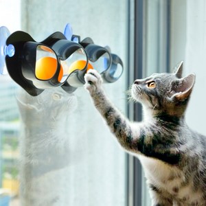 고양이 탁구공 창문 흡착 공놀이 공 볼 장난감
