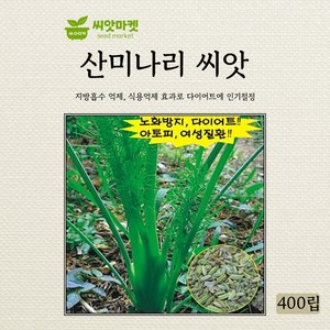 아람종묘 산미나리 씨앗 400립, 1개