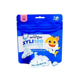 핑크퐁 자일리100 껌, 40g, 10개
