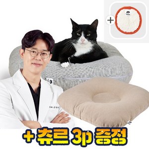 닥터펠리스 프리미엄 고양이 방석 포캣네스트 2종 택1+사은품츄르3p증정, 브라운, 1개