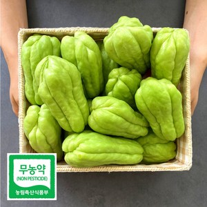 무농약인증 아삭아삭 경북 상주 햇 차요테 특품, 1박스, 5kg