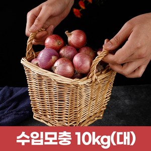 2025햇샬롯 모충 살롯10kg (큰사이즈), 1개