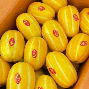 못난이 성주 벌꿀 참외 맛난이 가정용 고당도 농장직송, 1박스, 가정용 참외 5kg 소과 33-40과내외