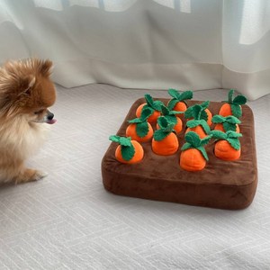 디아쿠아 애견 당근 뽑기 노즈워크 강아지 장난감