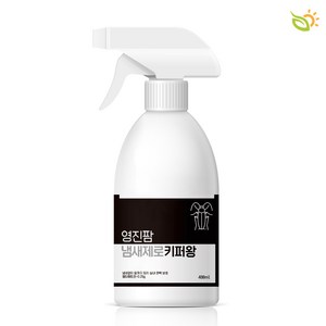 영진팜 키퍼왕 살충제 강력한 무취 바퀴벌레약, 480ml, 1개