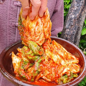 [당일생산] 전라도 배추 겉절이 김치, 1개, 2kg