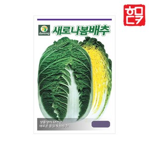 호미닷컴 엽채류 채소씨앗 모음 엽채류씨앗 종자 상추씨앗 상추씨 채소씨 채소재배 텃밭 주말농장, 새로나봄배추 300립, 1개