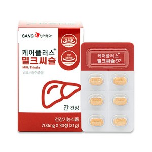 상아제약 케어플러스 밀크씨슬 21g, 30정, 1개