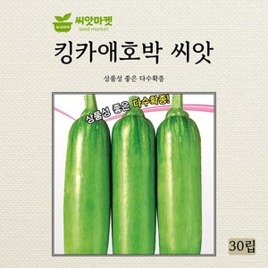 아시아종묘 킹카애호박 씨앗 30립, 1개