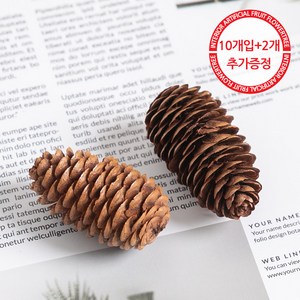 길쭉솔방울 5cm_ (10p) 네츄럴 크리스마스 장식 볼, 10개