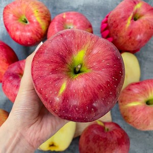 프루리 햇 못난이 선물용 부사사과 고당도 홍로사과, 1박스, 정품 5kg 소과/꼬마과 혼합 23-28과내외