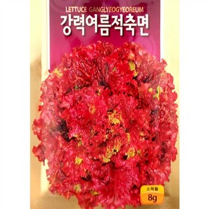 여름 적축면 상추 씨앗 (8g), 1개