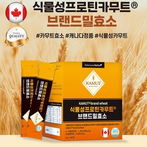 식물성 프로틴 카무트 브랜드밀 효소 60포