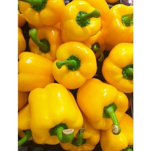 국산 싱싱로컬 노랑파프리카 1KG 5KG, 1개