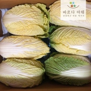 바르다야채 알배기배추 쌈배추 1박스(12포기) 1box, 8kg, 1개