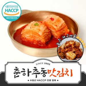 l 품담식품관 l 춘하추동김치 수입산 3종 1박스 10kg (B) 맛김치(기본박스 포장), 1개