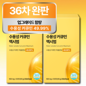 [4개월분] 강황 수용성 커큐민 식약청 HACCP 인증 (대용량), 120정, 2개