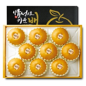 [산지출고] 정성으로키운 나주배 신고배 선물세트 제수용 배 명절 과일 설 추석 선물용 5kg 7.5kg 15kg, 1박스, 5kg (9~10과 내외 선물용 )