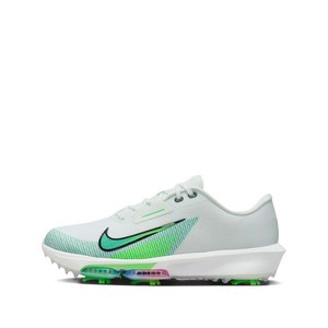 나이키 인피니티 투어 2 로우탑 스니커즈, US men 8(KR 260), 화이트계열+그린계열