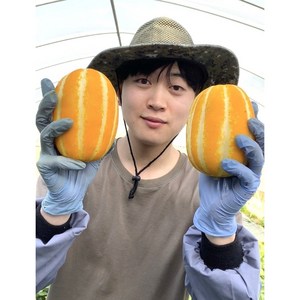 (30년경력) 성주참외 농가직송 당일수확 달콤아삭한 뭉치네 참외, 1개, 못난이 혼합과 참외 3kg 6-22과