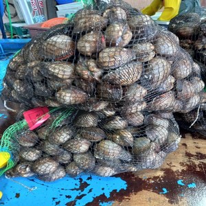 피꼬막 3kg 횟감가능 특대사이즈 1kg당, 1박스