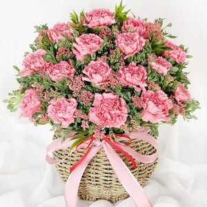 전국당일도착 카네이션 꽃바구니 생화 화분 꽃다발 선물 어버이날 스승의날 꽃배달 서비스 (99플라워), 19.[A1941]-핑크빛카네이션, 1개