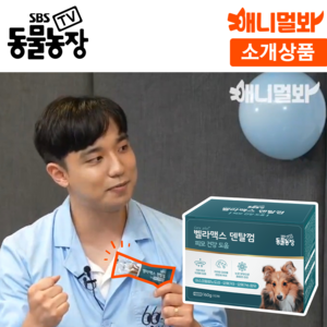 SBS TV 동물농장 덴탈껌 강아지 치석 양치 입냄새 제거, 구강/치석관리, 단품, 1세트, 160g